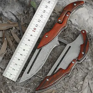 Cuchillo de frutas de cocina, mango de madera, cuchillo de carne
