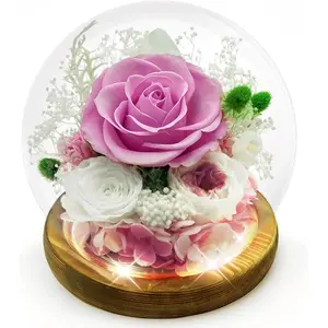 Preserved  Birthday Gifts for Her Preserved Rose in Glass Dome Forever   for Delivery  Eternal  Rose Gifts for Women Wife Mom Sister  Anniversary Valentines Day