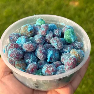 Gushers Gone Wild Bubble Gum - Colorful Candy in a Container