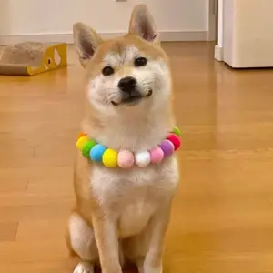 Hot Selling Cat Collars, Colored Hairballs, Puppy Collars, Bib Necklaces, Cute Pet Accessories