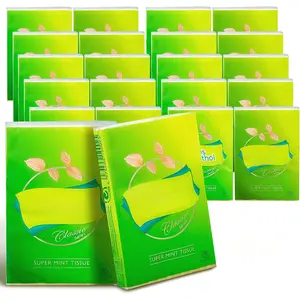 Lotion Pocket Tissues, Travel Size,  4-Ply, 20 Pack (200 Tissues Total)