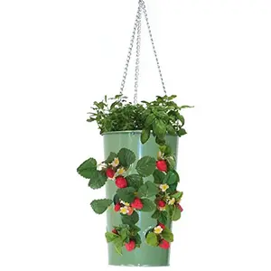 212 MAIN Enameled Galvanized Steel Outdoor Watertight Floral Hanging Strawberry Planter - Green