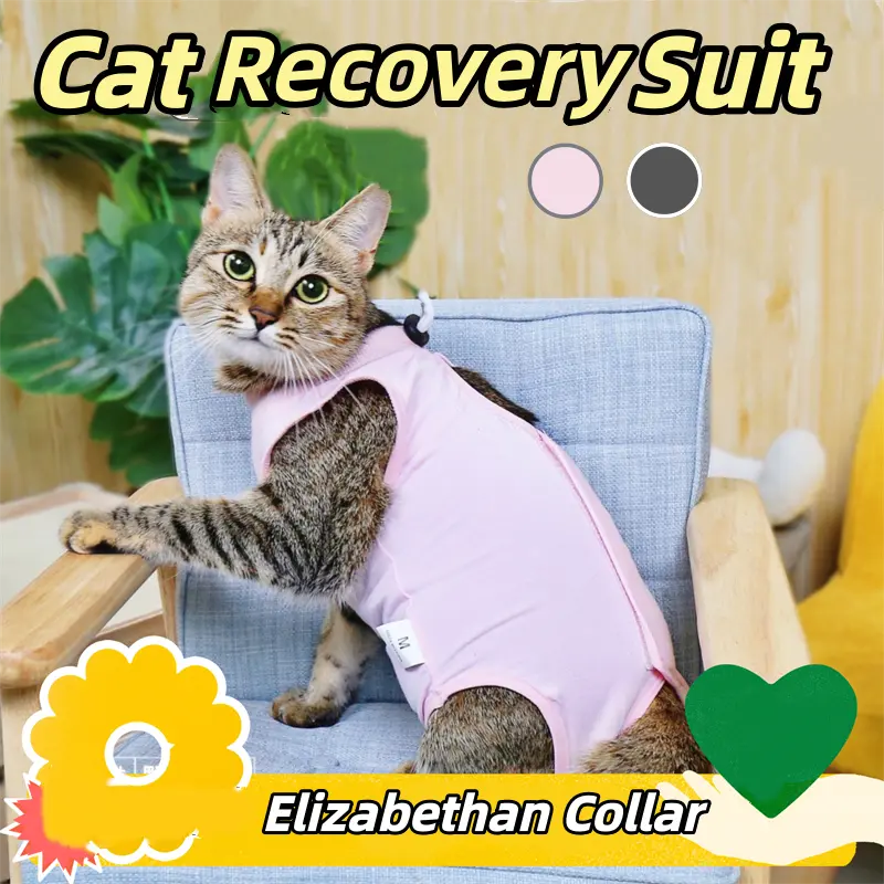 Female Cat Cotton Fabric Recovery Onesie - Universal, All Seasons, Gentle Fit for Kittens - Post-Surgical Spay Shirt with Abdominal Wounds Protection, Protective, Machine Wash, One-Piece, Post-Op Support