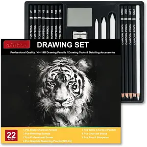 Charcoal Pencils for Drawing, Set of 22, Professional Drawing Sketch Pencils, Charcoal Art Supplies for Sketching, Shading, Artist Charcoal Supplies for Beginners & Pro Artists.