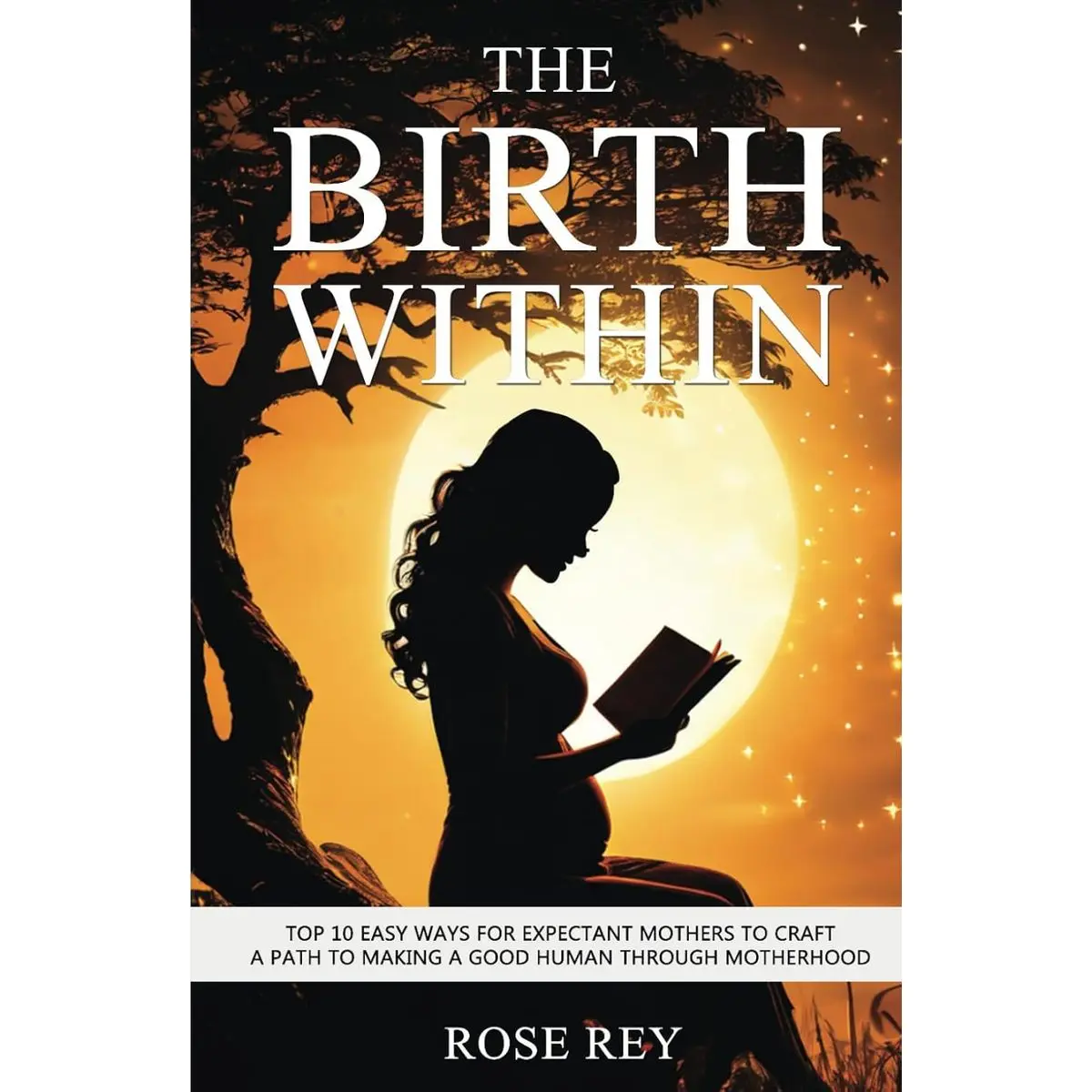 The Birth Within: TOP 10 Easy Ways for Expectant Mothers to Craft A Path to Making A Good Human through Motherhood (The Parenting Journey) Hardcover – May 8, 2024