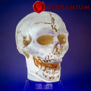 SCREAMIUM Giant Skull Animatronic Prop 20-Inch-Tall Halloween Decoration Scary Light