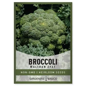 Waltham 29 Broccoli Seeds
