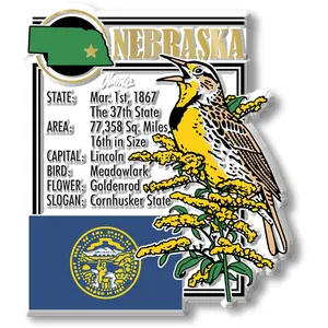 Nebraska State Montage Magnet by Classic Magnets, 2.7" x 3.2"