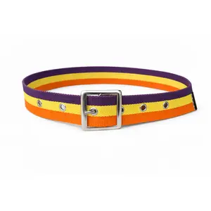 Striped Canvas Belt Purple Yellow Orange Web Belt Square Buckle Adjustable Unise