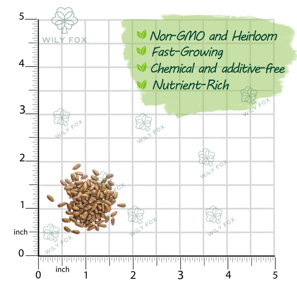 Premium Soursop (Graviola) Seeds – 25+ Non-GMO Heirloom - Fast-Growing, High-Yield Tropical Fruit Trees