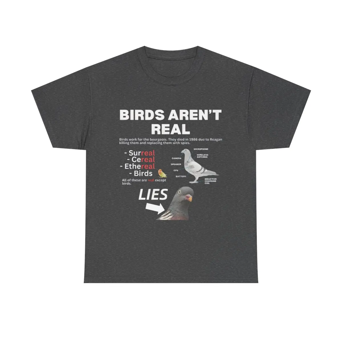 BIRDS ARENT REAL Funny T-shirt Meme Unisex Tee