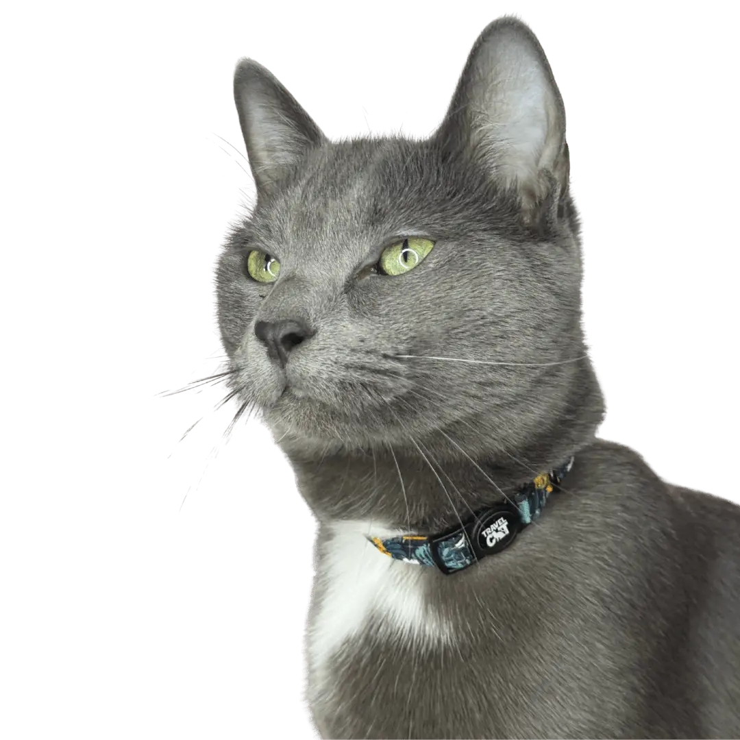 "The Hawaiian Shirt" Breakaway Cat Collar