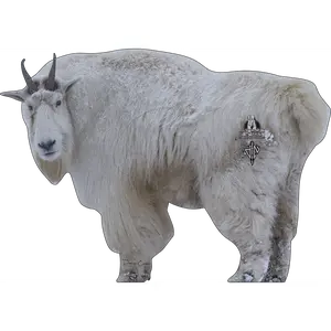 Rocky Mountain Goat Alliance Conservation Series 2D Target