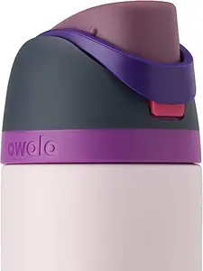 Owala FreeSip Insulated Stainless Steel Water Bottle with Straw for Sports and Travel, BPA-Free, 24oz, Dreamy Field