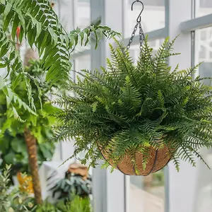 2 Set Artificial Hanging Fern Plants with Hanging Baskets, UV Resistant No Fade Faux Greenery, Waterproof Realistic Fake Ferns, Perfect for Patio Garden Porch Home Outdoor Decor, TikTok Viral Popular Yard Decor Must-Have