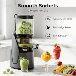 EanOruus Juicer Machines, 3-in-1 Cold Press Juicer with 6.5" Extra Large Chute, 100oz Large Capacity, AC Motor, Makes Juice, Nut Milk & Sorbet, Premium Gray