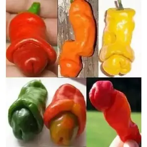 Peter Pepper Seeds Mixed Color - Original Seed Packaging