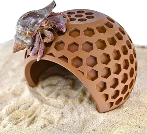 Hermit Crab Coconut Hide