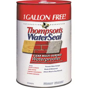 212 MAIN Thompson & Formby 24106 6 gal Multi-Surface WaterSeal Waterproofer, Clear
