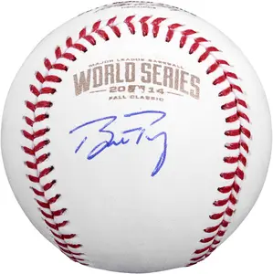 Buster Posey San Francisco Giants Autographed 2014 World Series Baseball - Fanatics Authentic Certified