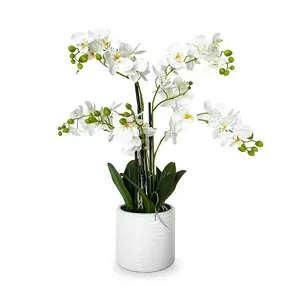 Real Touch Phalaenopsis Orchid Artificial Orchid in Pot, 26-Inch with 5 Branches, Faux White Color, Durable Plastic, Resin Basin