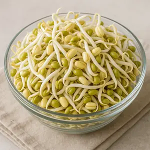 USA Grown Mung Bean Sprouting Seed (Phaseolus vulgaris) 8,500 Seeds - Non-GMO, Heirloom, Chemical-Free, Mild Tasting, Great for Salads
