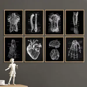 8PCS/set Frameless Human Anatomy Artwork Medical Clinic Wall Picture Skeleton Organ Muscle System Vintage Canvas Print Body Education Poster