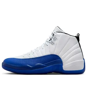 Air Jordan 12 'Blueberry' CT8013-140