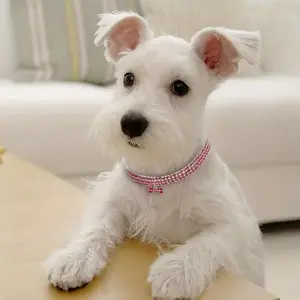 Sparkling Rhinestone Dog Necklace, Elastic Crystal Jewelry Collar for Small Pets
