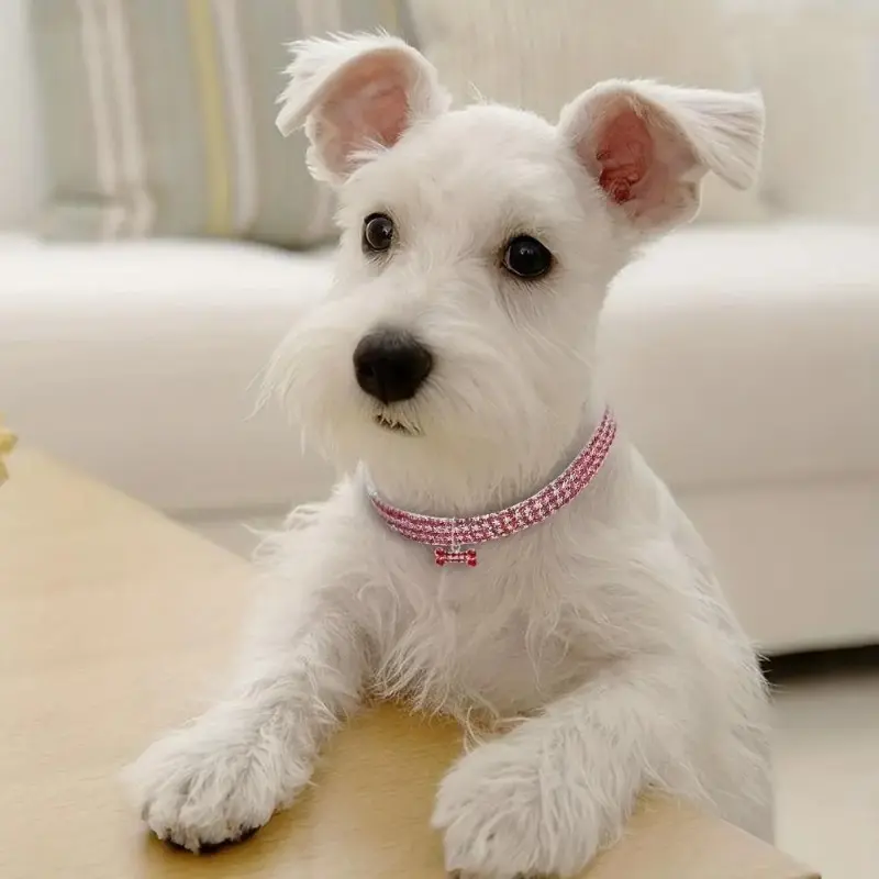 Sparkling Rhinestone Dog Necklace - Elastic Crystal Jewelry Collar, 1-Piece, All Seasons, All-Day Comfortable Wear, Stretch Freely for Small Pets (Sports & Outdoor Accessories Compatible)