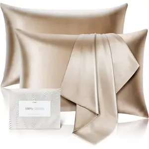 100% Pure Mulberry Silk Pillowcase for Hair and Skin - Allergen Resistant Dual Sides,600 Count Silk Bed Pillow with Hidden Zipper,2pc,Queen Size,Taupe