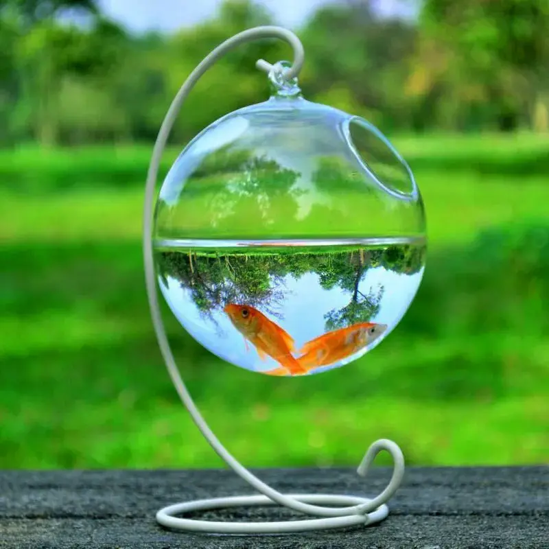 Hanging Desktop Clear Fish Bowl - for Home Decor