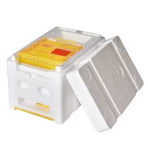 Queen bee mating nuc Box Group (1Way-EPS)