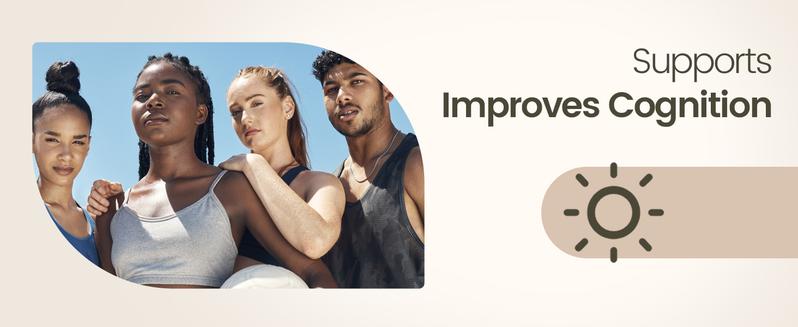 TikTokShopBlackFriday NOORUZ Lion's Mane 900mg with Blueberry Antioxidants - Memory, Focus, Mood & Nerve Support - 2-in-1 Anti-Aging Brain Formula Mental Clarity Nutritional Supplement Healthcare Fitness