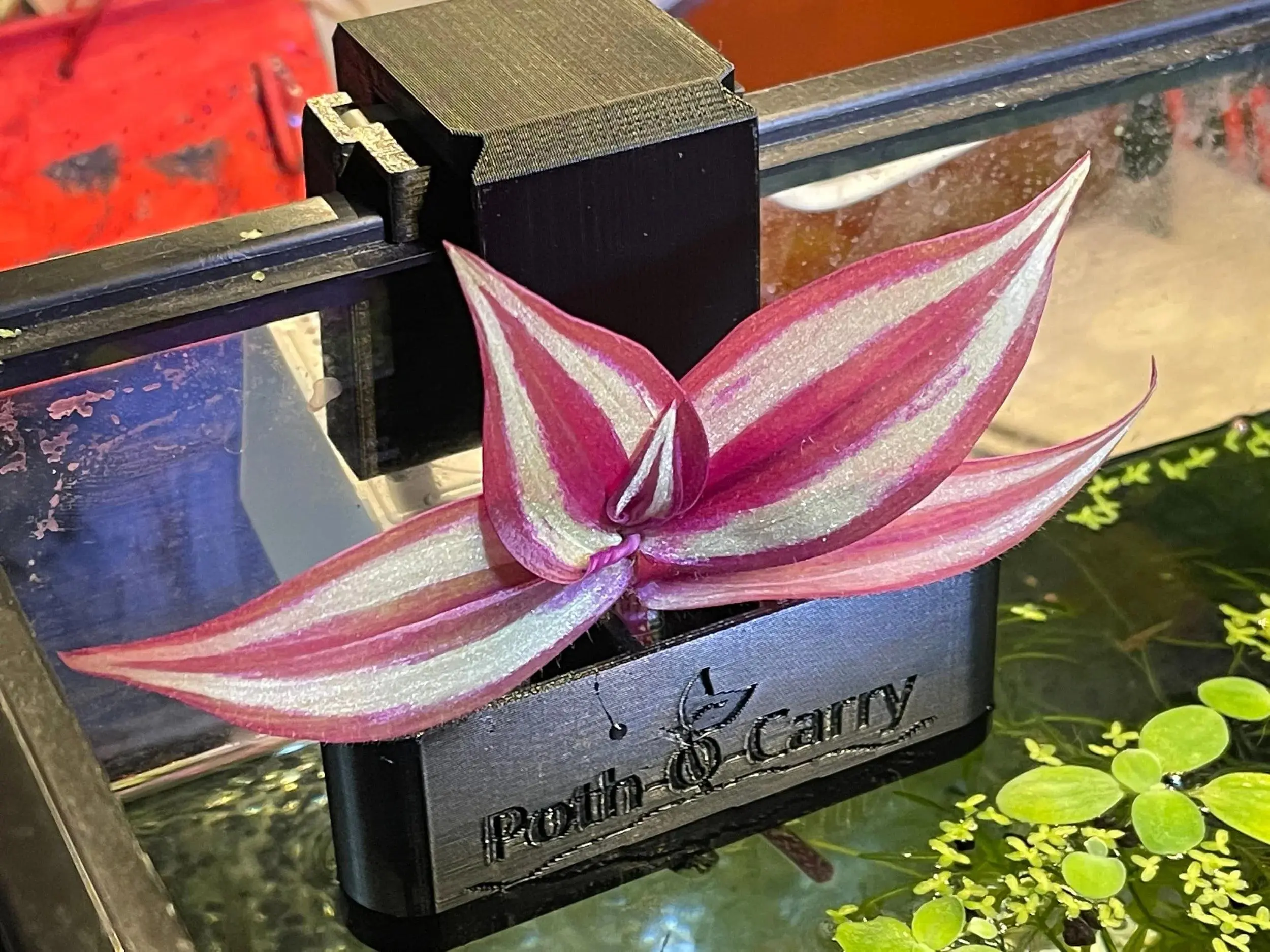 Poth-O-Carry® Original: Rail Edition - Pothos (And other plants) Over-Aquarium Holder