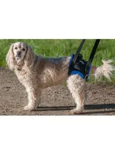 The Original Walkabout Back End Harness™