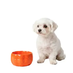 Elevated Ceramic Pet Bowl – Neck-Protecting Tilted Design for Cats & Small Dogs