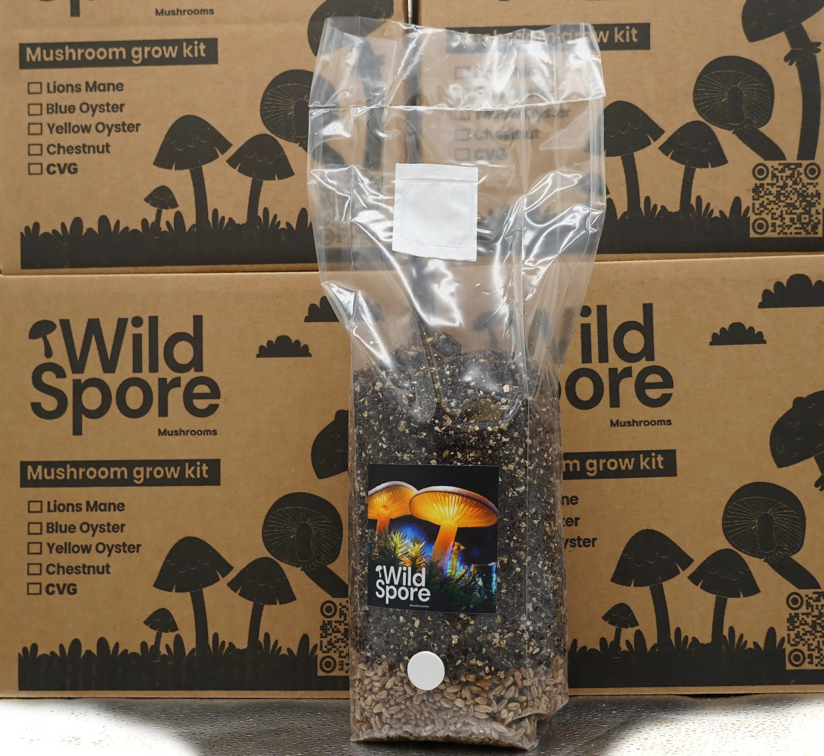 All in one CVG grow bag with injection port All in one CVG grow bag with injection port