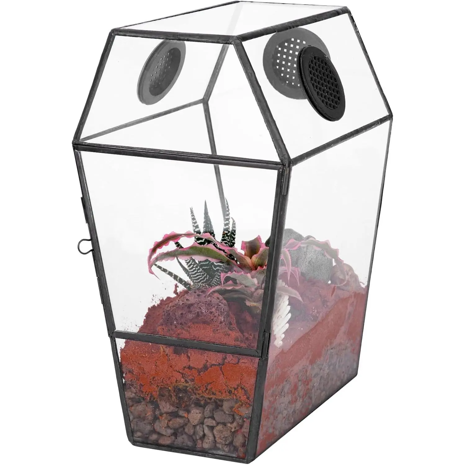 Black Gothic Glass Terrarium (13.1 x 15.6 x 23.7 cm) for Jumping Spiders - Front Opening Door, Geometric Shape, Vent Holes, Humidity-Keeping, Indoor Tabletop Coffin Decor (Terrarium Only), Keeps Humidity