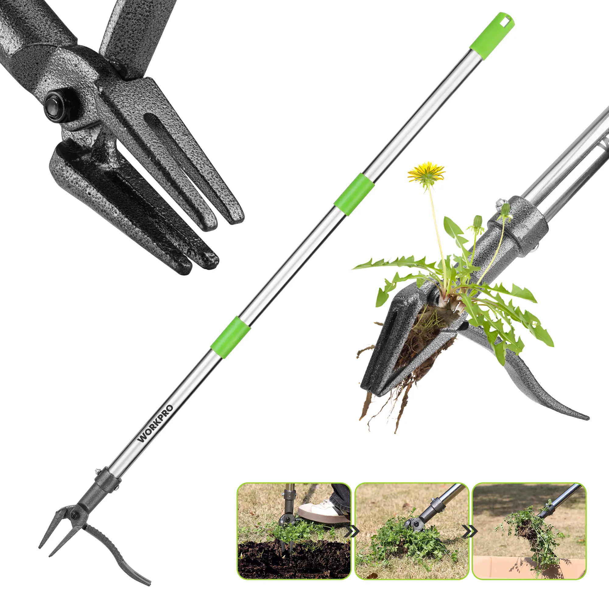 #fathersdaygift WORKPRO Weed Puller Tool with Long Adjustable Handle (33", 46"), Stand Up Heavy Duty Weed Remover- 4 Claw Steel Head & Foot Pedal for Easy Weeding, Detachable Dandelion Picker for Lawn/Yard/Garden