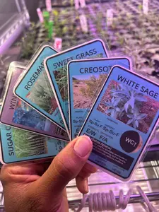 NAMA Harvest 365 Trading Card Game [Water Constellation Cards] - Educational Trading Card Game for Kids - Promotes Reading & Plant Science - Hands-On Learning - Screen-Free - Community-Funded - Great For Children With Autism