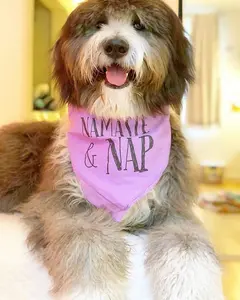 Namaste & Nap Cute Funny Yoga Dog Bandana