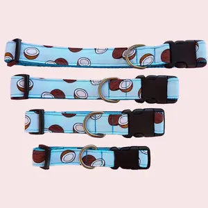 Coconut on Blue Cat and Dog Collar