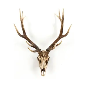 Deer Skull Wall Decor SHI018