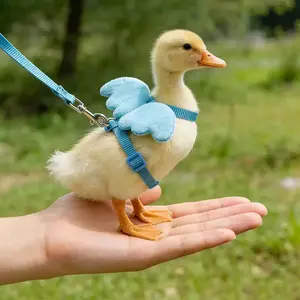 1pcs Coon Duck Leash, Pet Duck Harness for Small Ducks, Winged Animal Lead Rope, Chicken and Duck Leash, Pet Duck Supplies