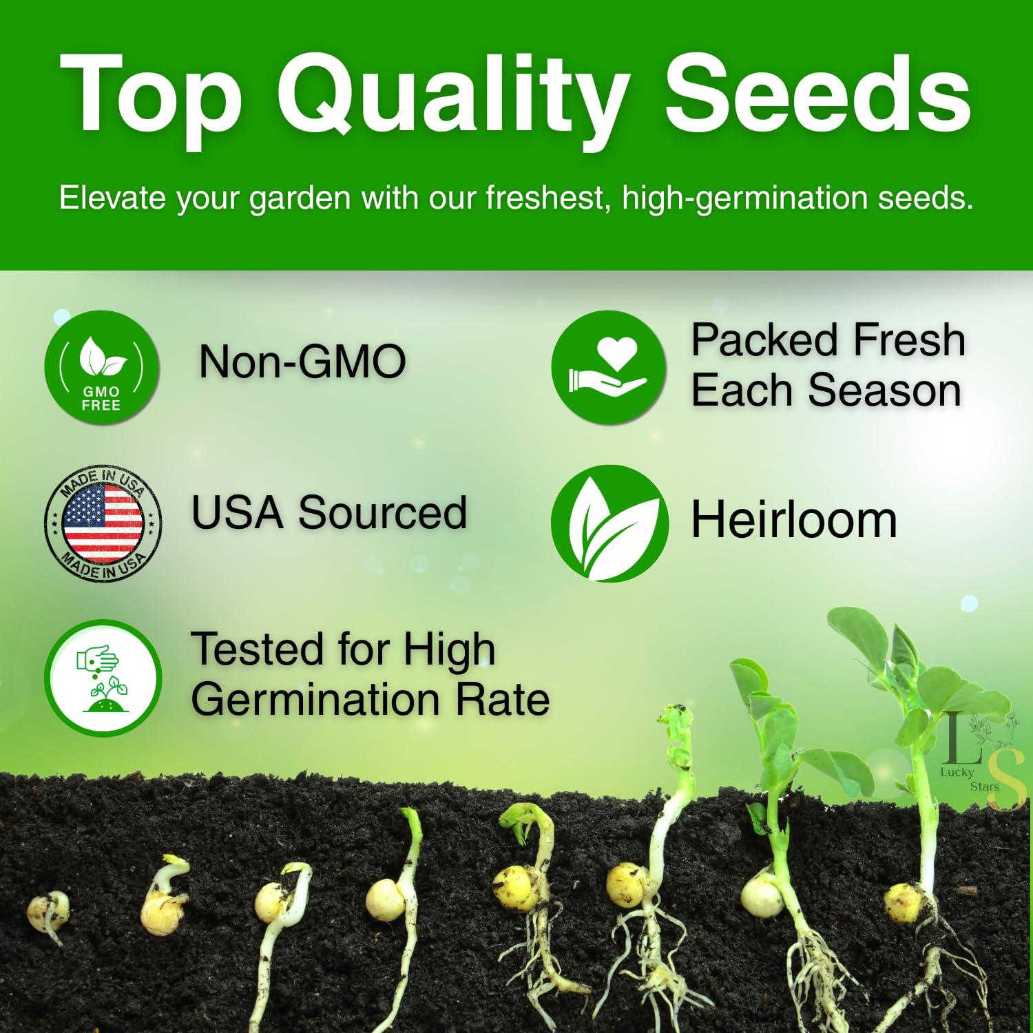 Ruby Moon Hyacinth Bean Vine - 25 Seeds - Beautiful Climbing Flower Variety, Great for Arbors & Trellises, Non-GMO Hyacinth Bean Seeds for Planting in The Home Garden, Thresh Seed Company