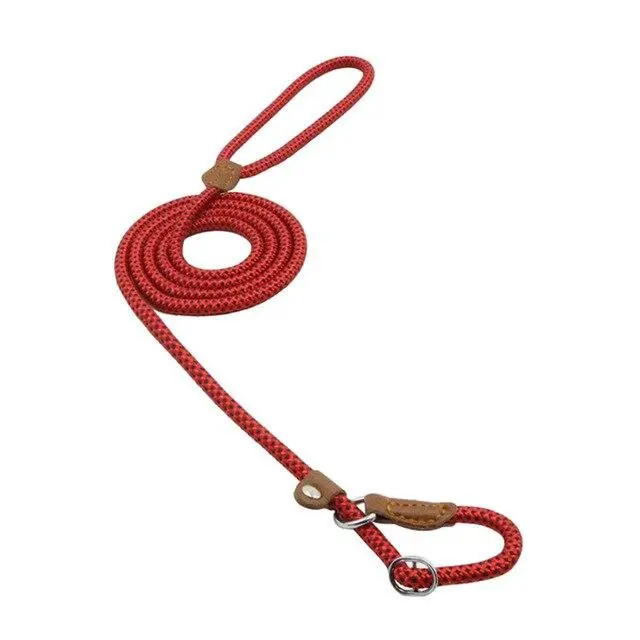 Adjustable Nylon Dog Collar and Leash Set