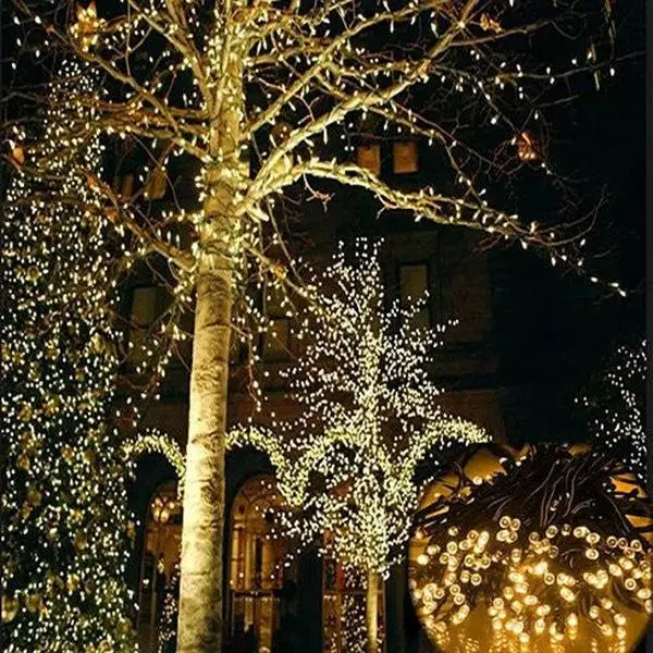 Firefly Solar Mini LED Christmas String Lights, Party Decor, Garden Lights with Auto On/Off for Outdoor Glow