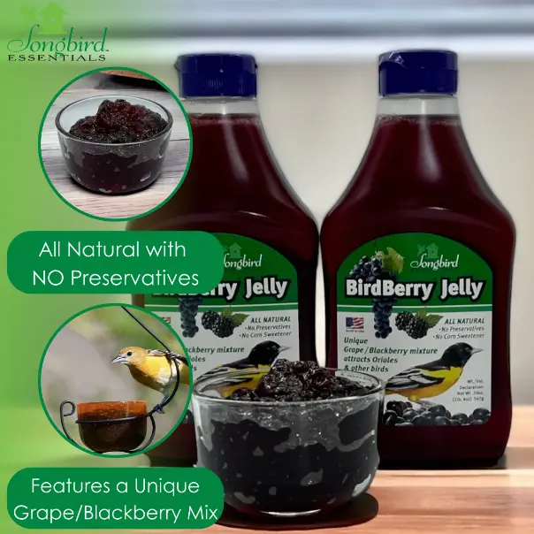 BirdBerry Jelly