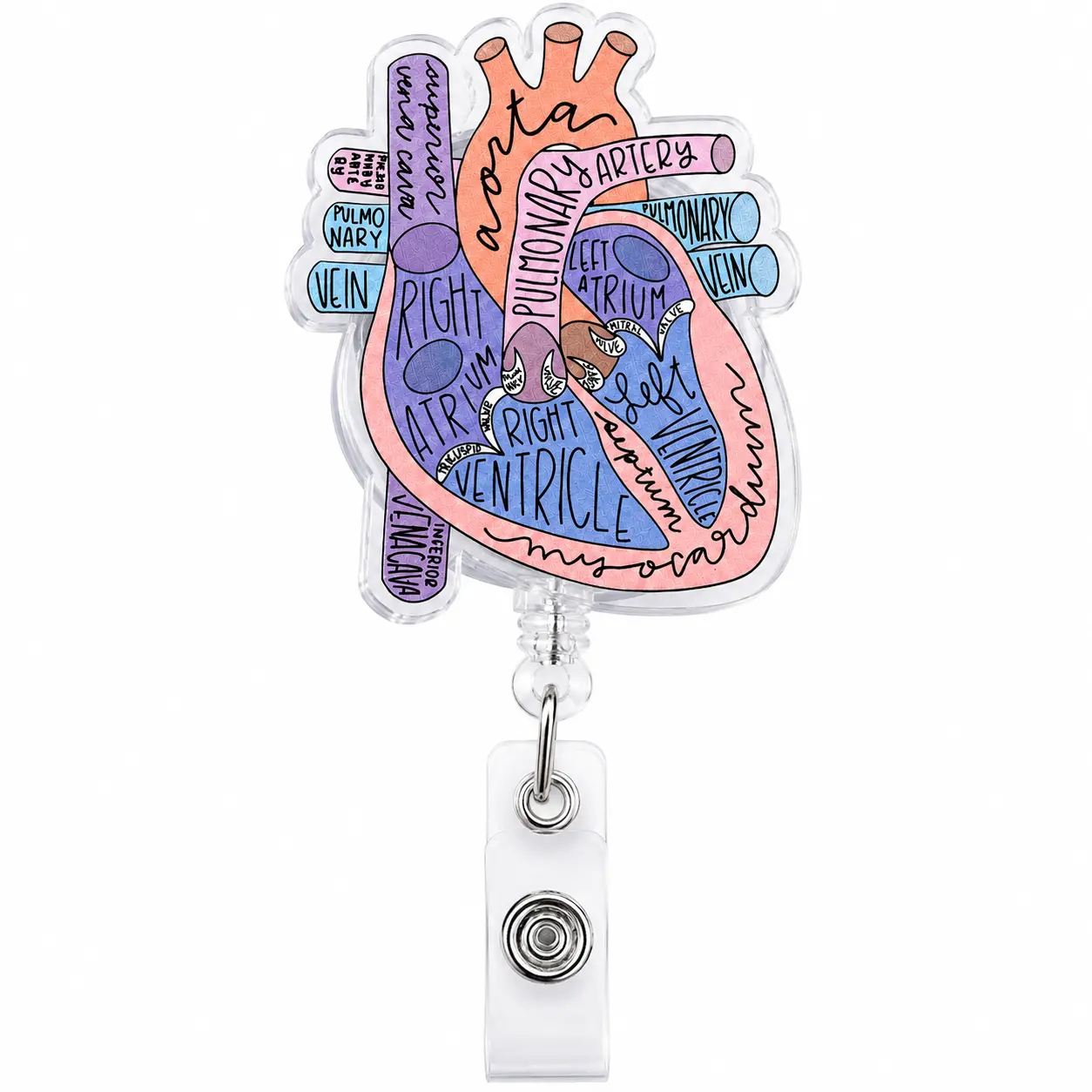 Dimeho Cardiac Badge Holder Heart Retractable Reel ID Card Clip Anatomy Funny Nurse Name Tag Holder Pediatrics Nursing Badge Clips for Doctor Student Teacher Office Clinic Medical Assistant